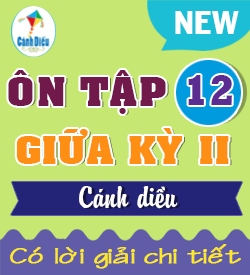 Ôn tập Giữa Học kỳ II (CD_T12)